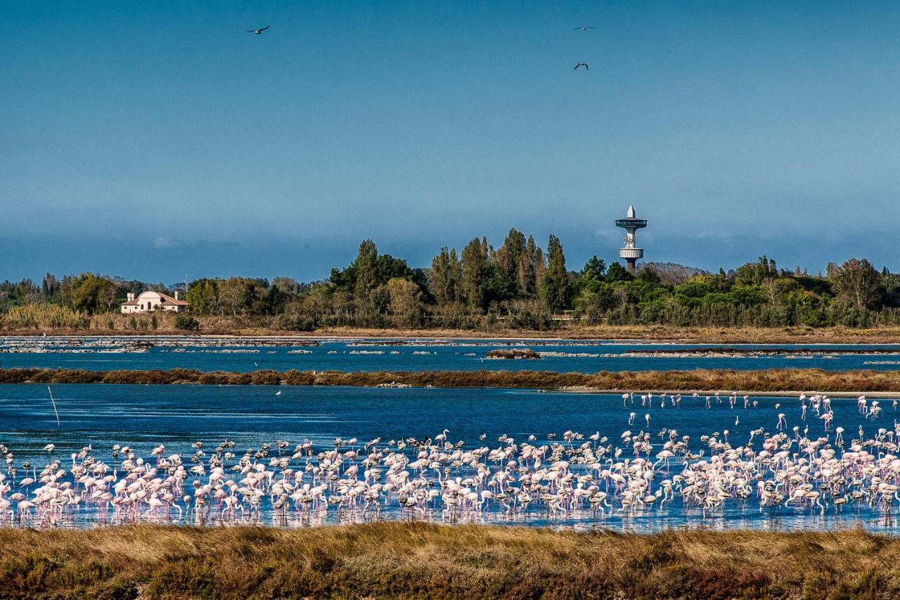 Villa Gloria Appartamento E01 Rosolina Mare Zewnętrze zdjęcie